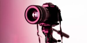 What Are the Best Cameras for Wildlife Photography?